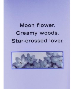 Midnight Bloom