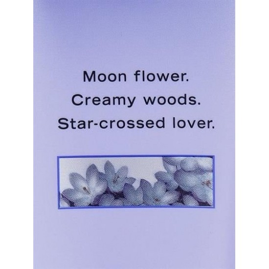 Midnight Bloom Midnight Bloom
